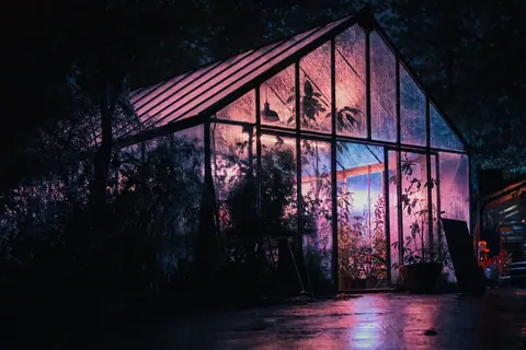 A greenhouse lit from within at night, its fogged glass showing plant silhouettes.